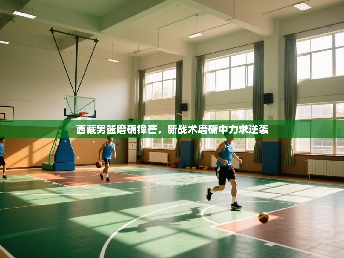 西藏男篮磨砺锋芒，新战术磨砺中力求逆袭  第2张